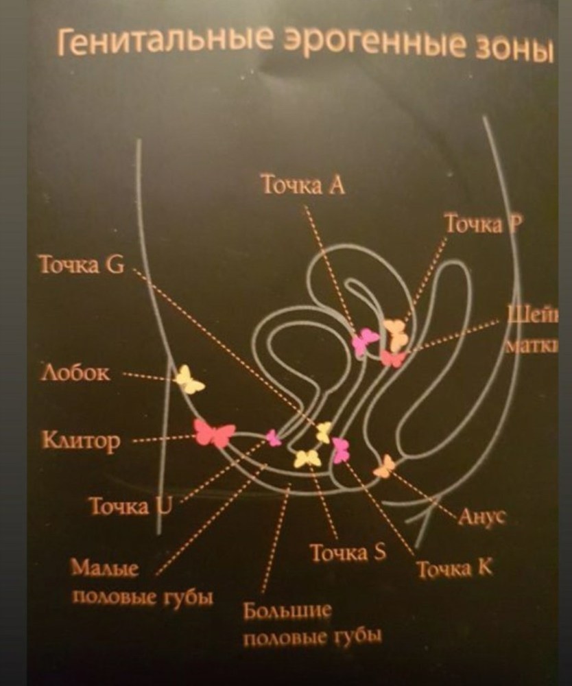 Аэрагенный зоны у женщин