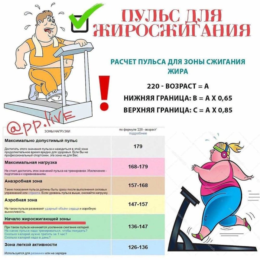 Пульс для сжигания жира