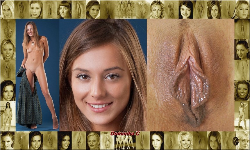 Лицо и вагина фотомодели