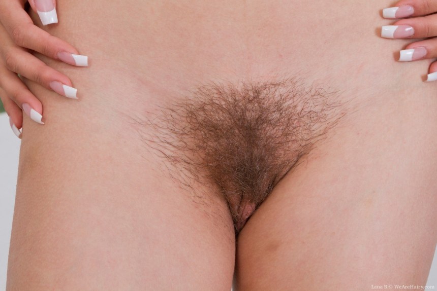 Красивый волосатый лобок