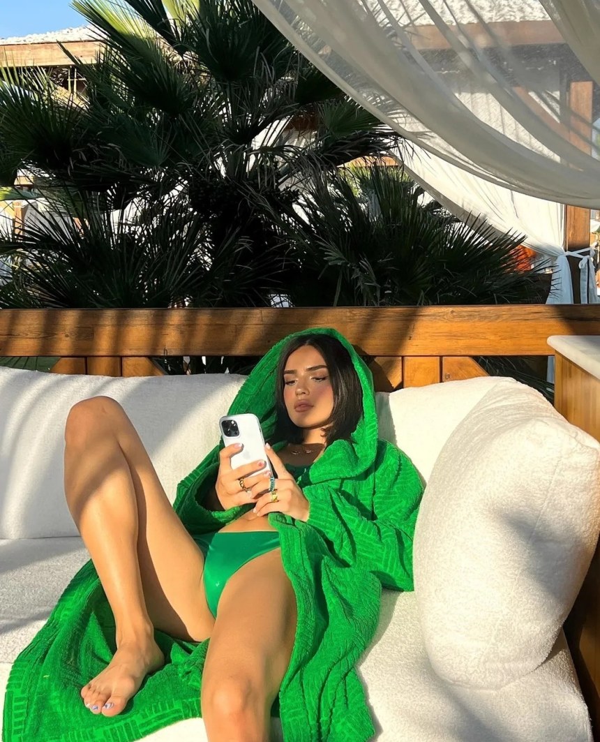 Dina Saeva сливы 2022