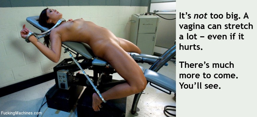 Vagina copy Machine