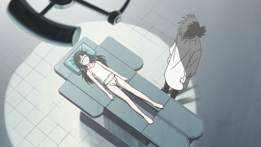 Ray the animation (2006)